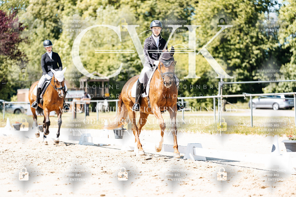 CK906001 | Turnierfotografie Pferdefotografie Trier Rheinland-Pfalz Pferdesport Reitsport Tierfotografie Sportfotografie Pferdevideo Pferdevideografie Equestrianvideography equestrianphotography  - Realisiert mit Pictrs.com