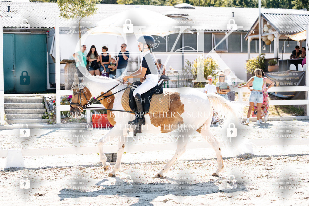CK902568 | Turnierfotografie Pferdefotografie Trier Rheinland-Pfalz Pferdesport Reitsport Tierfotografie Sportfotografie Pferdevideo Pferdevideografie Equestrianvideography equestrianphotography  - Realisiert mit Pictrs.com