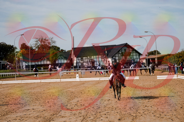 2026_10_03_Siefer-Hof_121100_Z63_38876143 | Professionelle Reitsport-, Turnier- und Eventfotografie von Robert Broda. Galerien mit ausgewählten und bearbeiteten Bildern direkt online ansehen und bestellen.