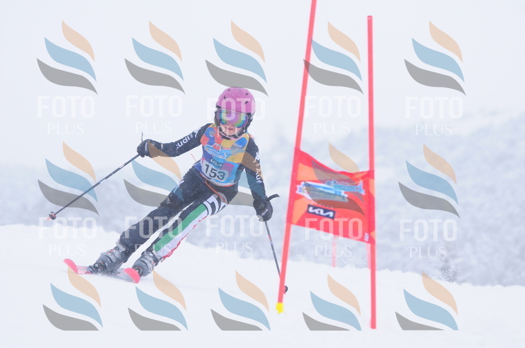 C1823 | holidayphoto