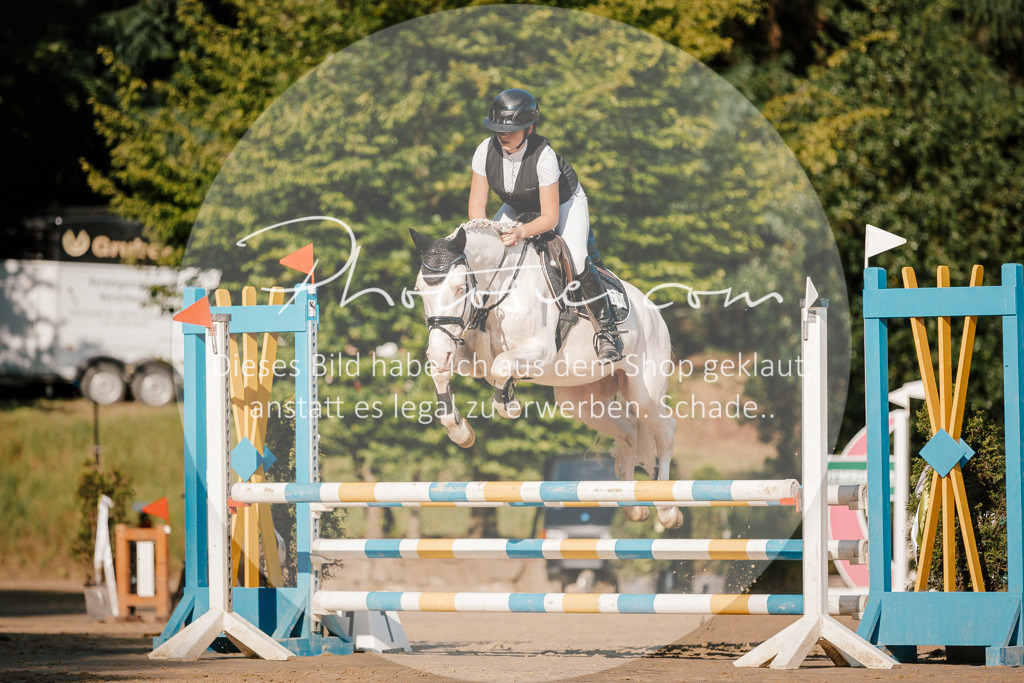 3I6A6252 | Stimmungsvolle Portraits und Reitsportfotografie im Ruhrgebiet und im Münsterland.

Pferdefotografie, Hundefotografie, Tierfotografie, Reportagen, Portraits von Tier und Mensch, Turnierfotografie in Bochum, Recklinghausen, Marl, Haltern am See, Dülmen.. - Realisiert mit Pictrs.com