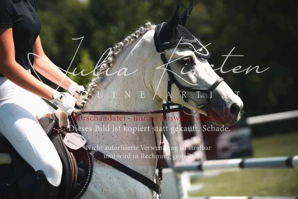 DSC_6536 | Pferde- und Turnierfotografie in Westsachsen. Pferdeportraits, Auftragszeichnungen und intuitive Kunst.
