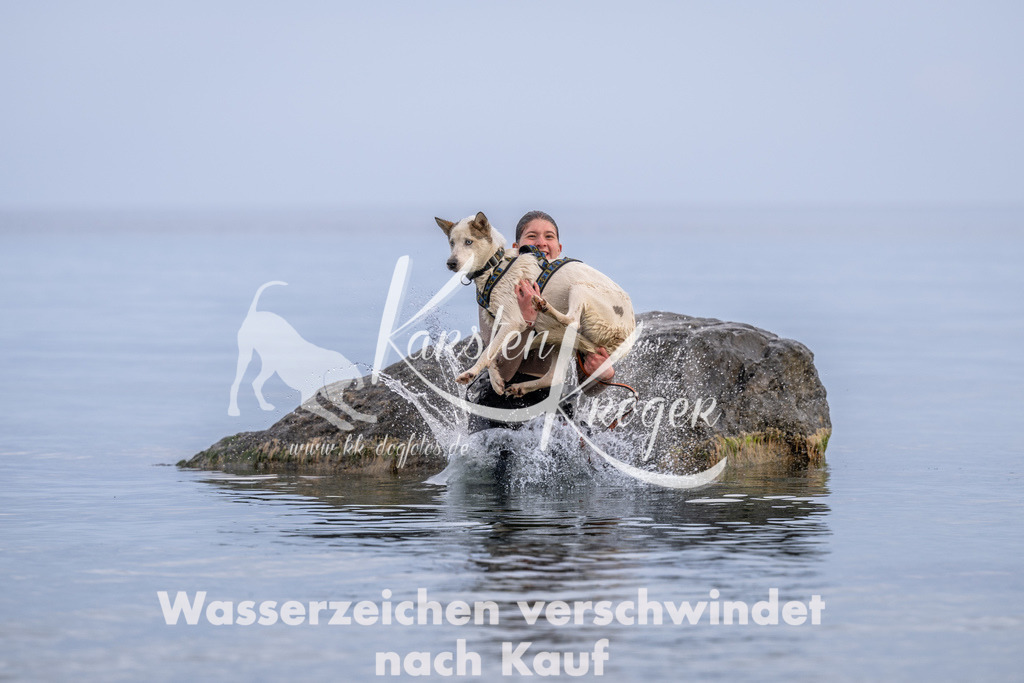 1211_ZZ90110 | kk-dogfotos