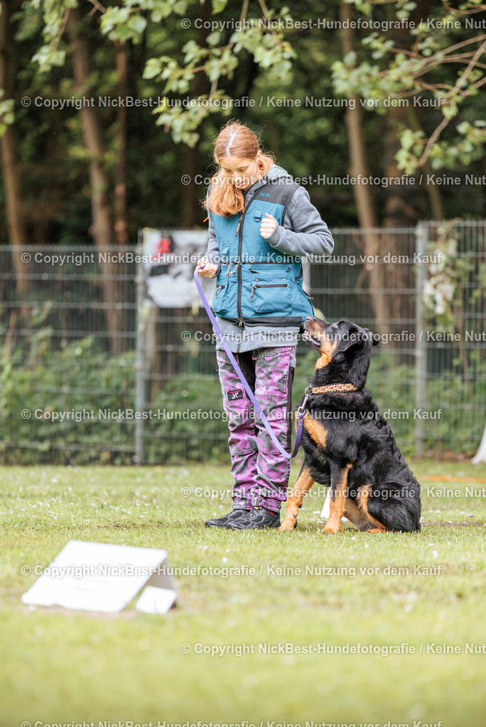RO-Blumenthal-2026-Nickbest-Hundefotografie-1209 | Dein Hund! Dein Moment! Deine Erinnerungen! Hundefotografie in Bremen Blumenthal. Ich fange die besonderen Momente deines Vierbeiners ein – ob Indoor mit Blitzanlage oder in der freien Natur. Sicher dir dein Moment und dein Termin für eure Erinnerungen.