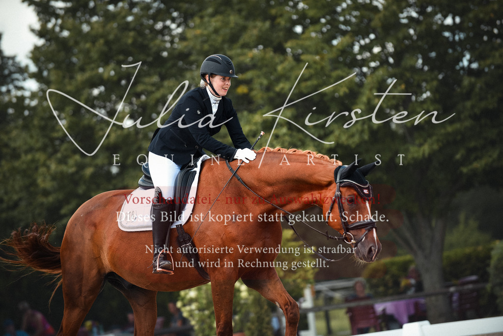 DSC_9136 | Pferde- und Turnierfotografie in Westsachsen. Pferdeportraits, Auftragszeichnungen und intuitive Kunst.