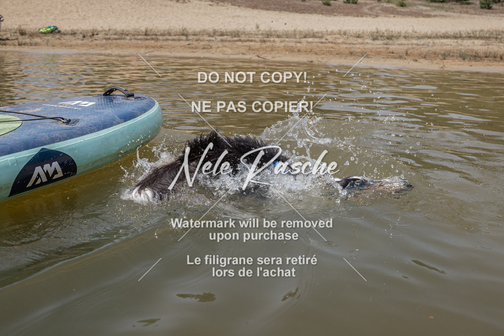 nelerasche_saSUP1_379 | nelerasche