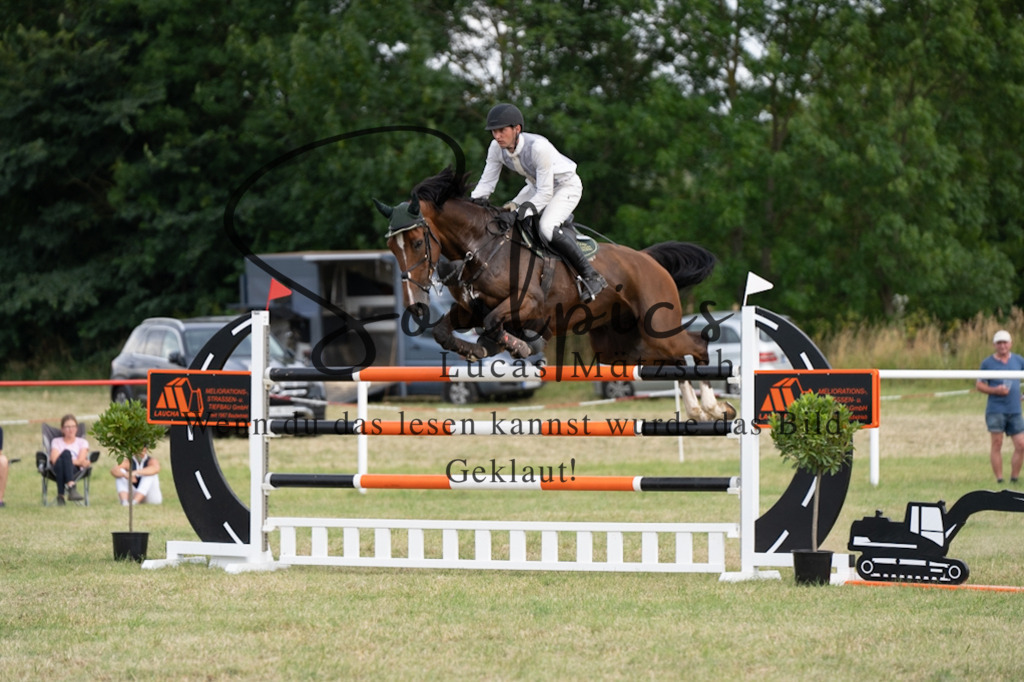 A7V02836 | Pferdefotograf