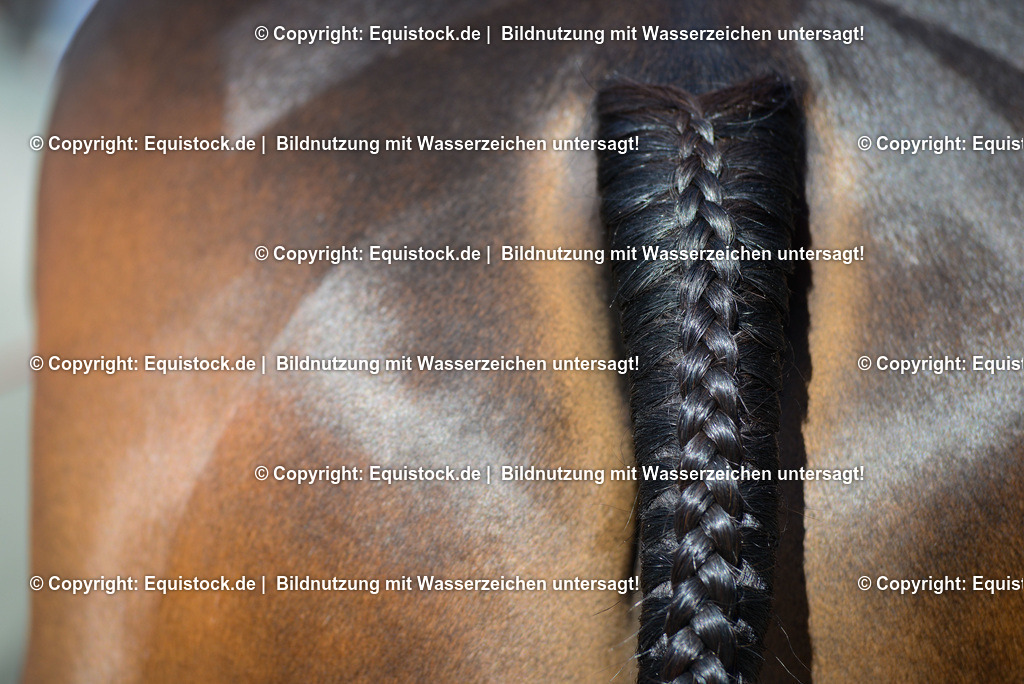 20160508_Geflochtener_Schweif_0001 | Foto: Thomas Hartig