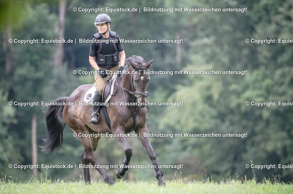 20250726_Vielseitigkeitslehrgang-Marbach_0360 | Foto: Thomas Hartig