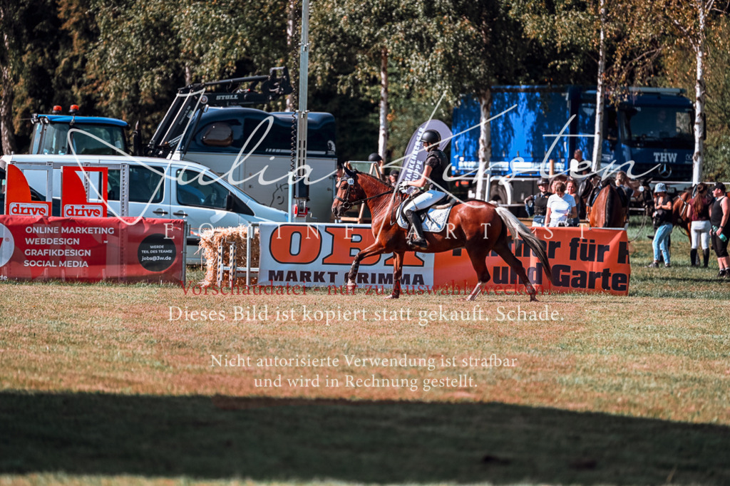 DSC_0919 | Pferde- und Turnierfotografie in Westsachsen. Pferdeportraits, Auftragszeichnungen und intuitive Kunst.