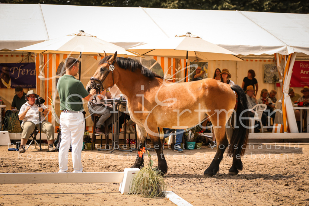 2.Sa00068 | Leoni Ertmer Photography - Realisiert mit Pictrs.com