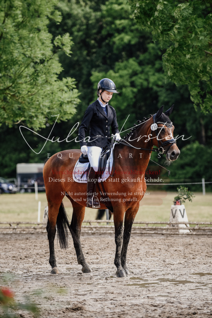 DSC_0432 | Pferde- und Turnierfotografie in Westsachsen. Pferdeportraits, Auftragszeichnungen und intuitive Kunst.