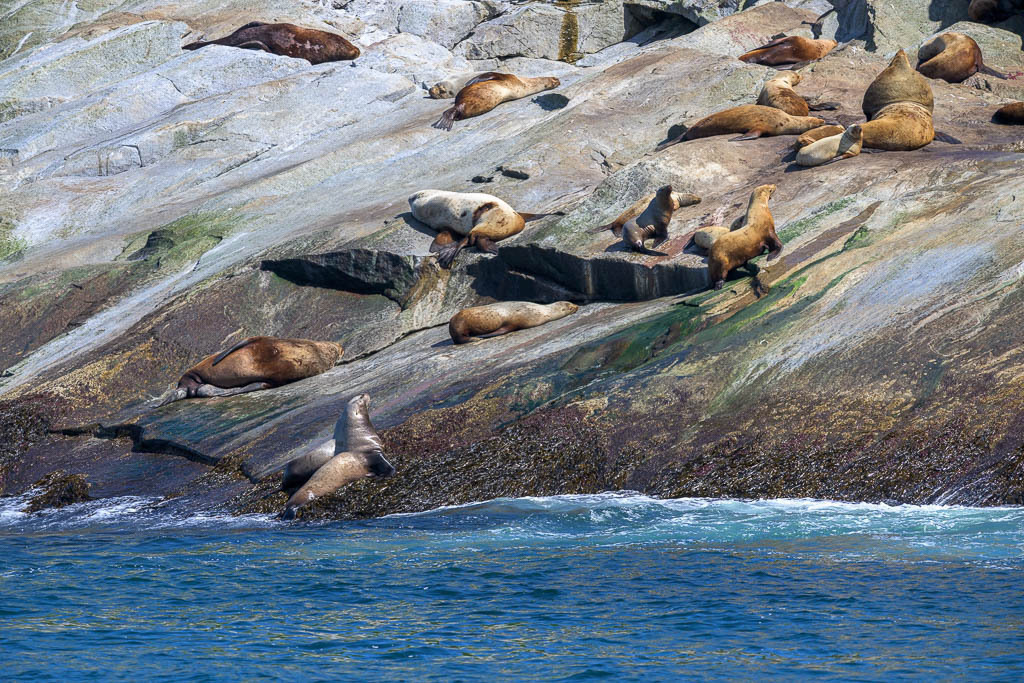 Alaska | Kenai Fjords National Park Cruise. - Realisiert mit Pictrs.com