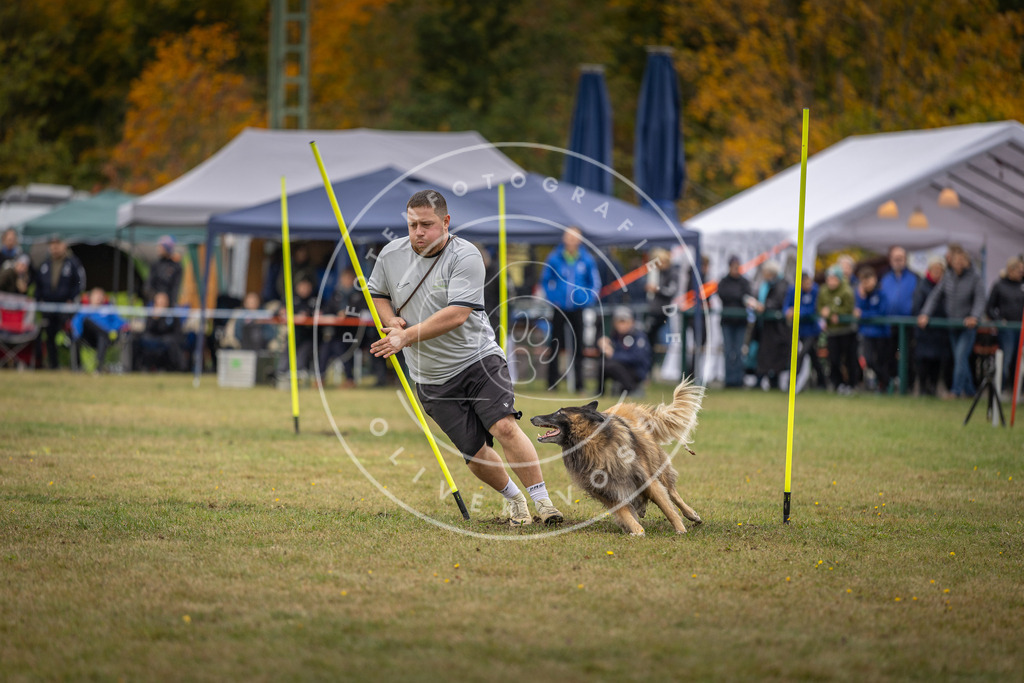 Pfotenfotografie_DV3A8329 | Hundefotografie, Tierfotograf, Pfotenfotografie, Fotoshooting Hund, Hunde Portrait, Hundesport, Hundeportraits, Heideshooting, Hunde, Sportfotograf, Hundefotograf, Turnierhundsport, THS,  - Realisiert mit Pictrs.com