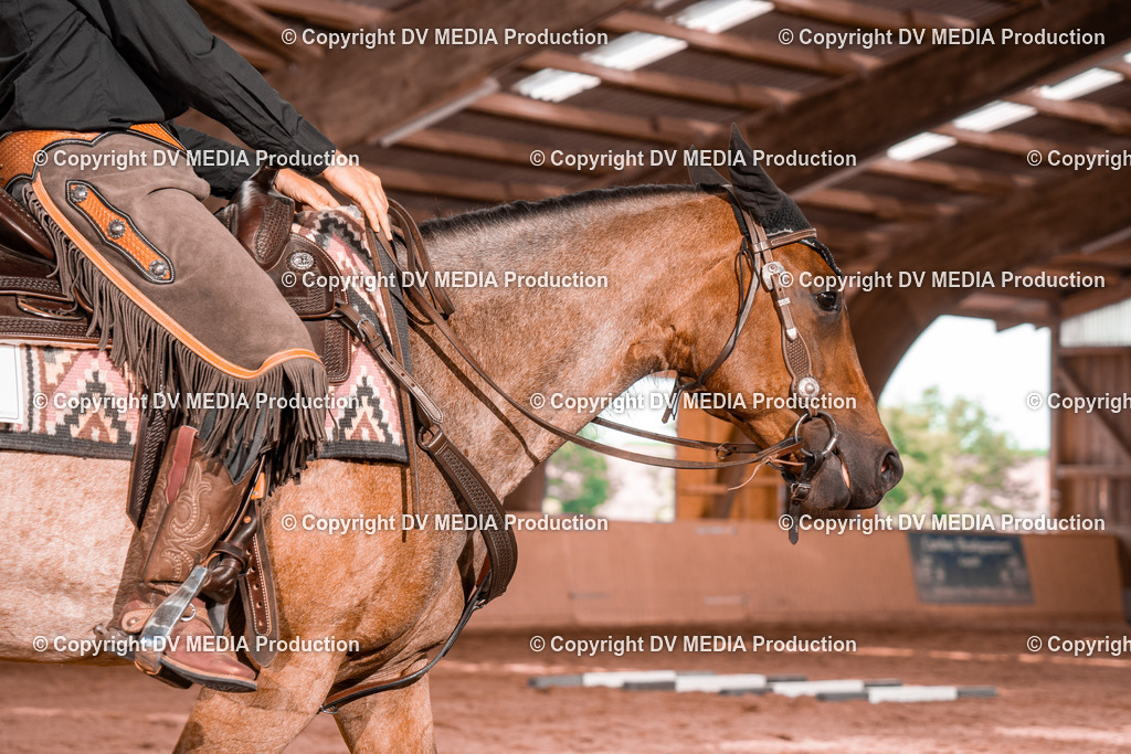 NE200537 | dv-media-shop - Realisiert mit Pictrs.com