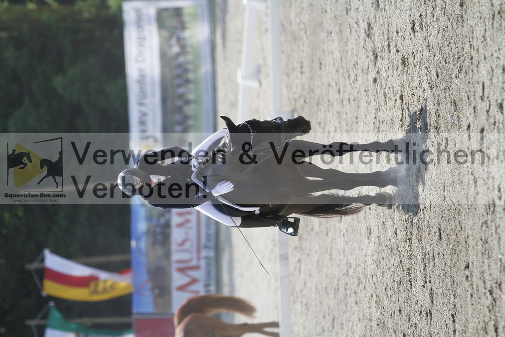 _MG_2022 | equestrian-live-com