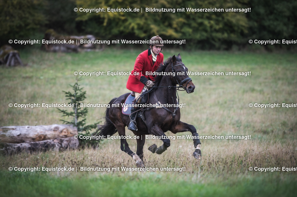 20241013_Jagd-Marbach_0287 | Foto: Thomas Hartig