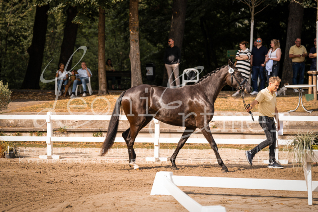 FrER00114 | Leoni Ertmer Photography - Realisiert mit Pictrs.com