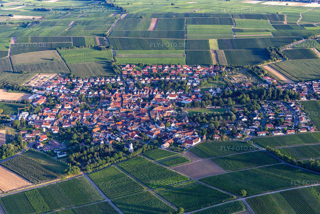 Wollmesheim www.landau.de | Luftbild: Wollmesheim www.landau.de im Ortsteil Mörzheim in Landau im Bundesland Rheinland-Pfalz in Deutschland. Foto: IMG_133684.jpg vom 18.07.2022 durch ©2025 Werner Riehm fly-foto.de/copyright - Realisiert mit Pictrs.com