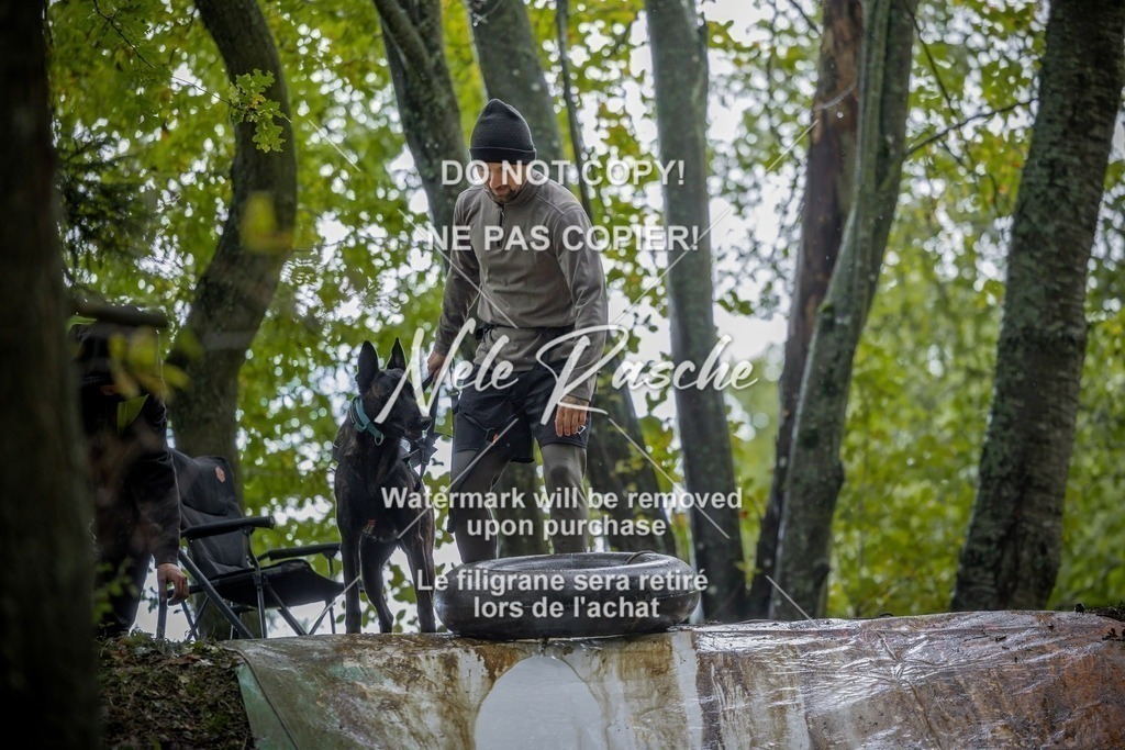 nelerasche_Hunsrück_Sa1430-1500_14-final | nelerasche