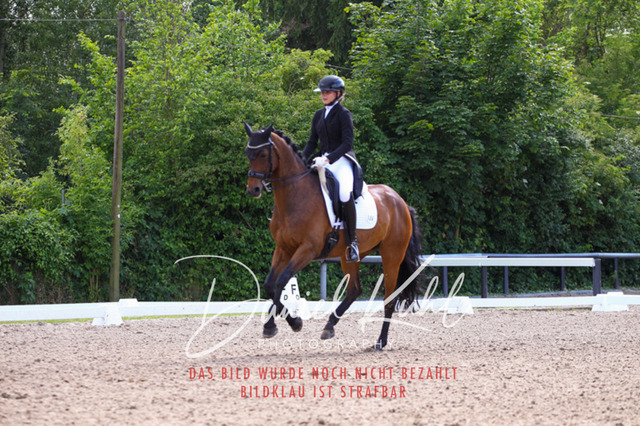 DKP41379 | Deine Turnierfotos vom Reitturnier online kaufen: Dressur, Springen & Siegerehrung. Professionelle Pferdefotografie aus dem Rheinland – als Download & Print.Alternative: Turnierfotograf für den Pferdesport: Finde deine Fotos von Dressur- und Springturnier