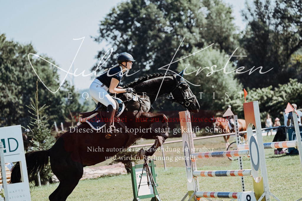 DSC_5997 | Pferde- und Turnierfotografie in Westsachsen. Pferdeportraits, Auftragszeichnungen und intuitive Kunst.