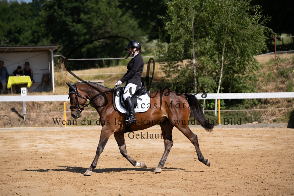 A7V07819 | Turnier/Reitfotograf