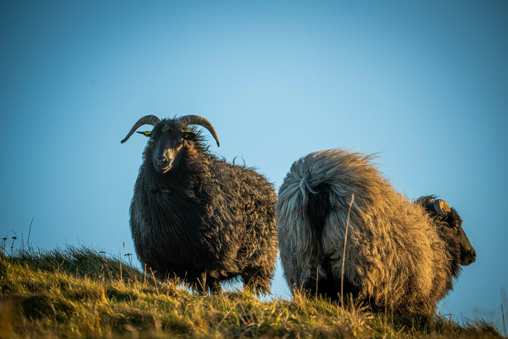 B10517B2-81C4-479F-A063-9401EEF0DA39 | <meta name="keywords" content="Bergbilder, Hochzeitsfotografie, Actionshootings, Fotografiearbeiten, Berglandschaften, Naturfotografie">

 - Realisiert mit Pictrs.com