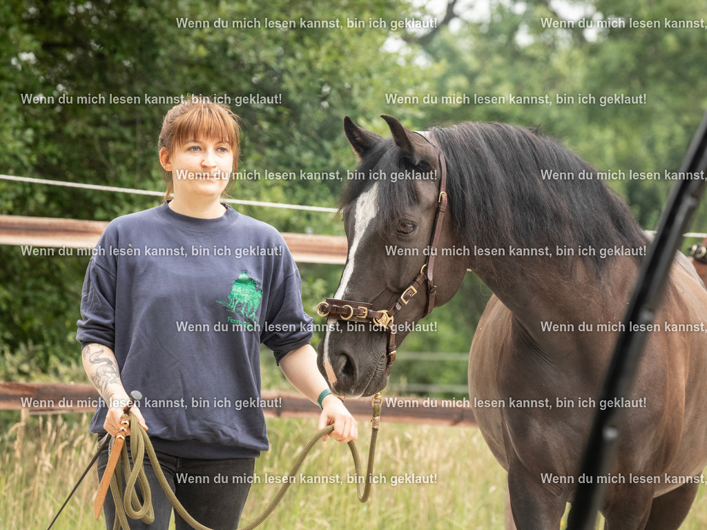 598A6842 | photographylinaismer - Realisiert mit Pictrs.com