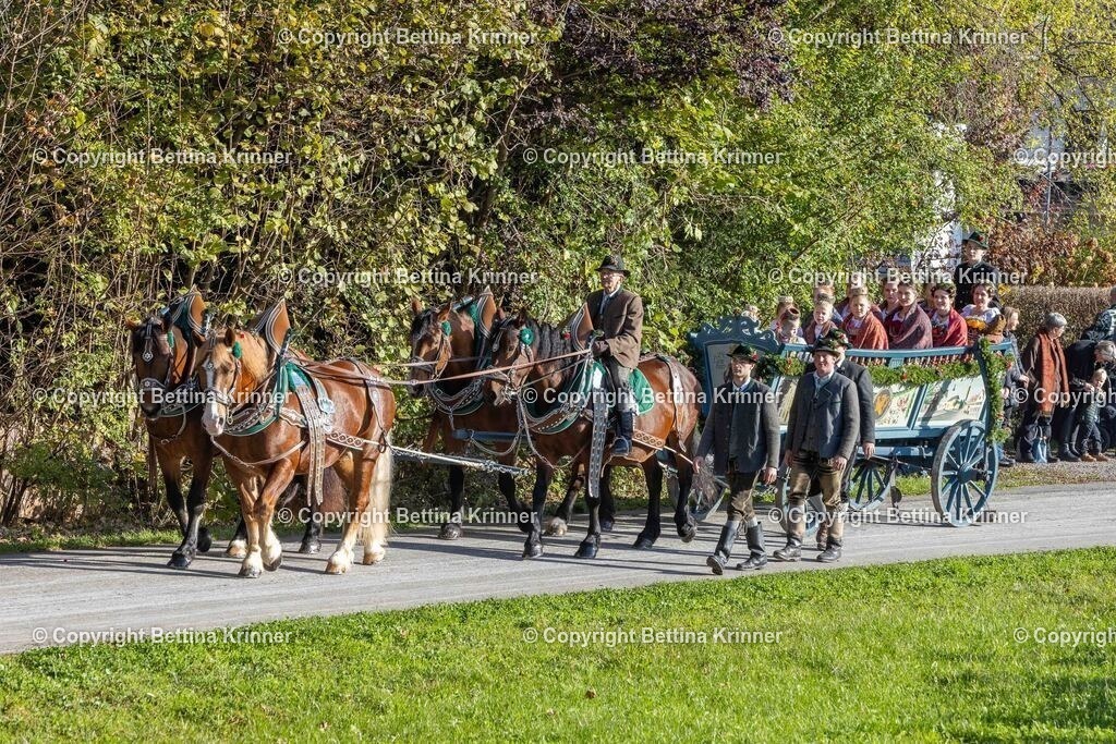 LBT24-345 | foto-bettina-krinner - Realisiert mit Pictrs.com