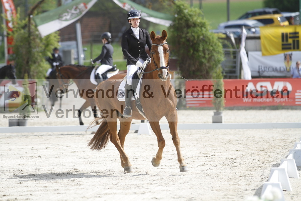 _MG_8202 | equestrian-live-com