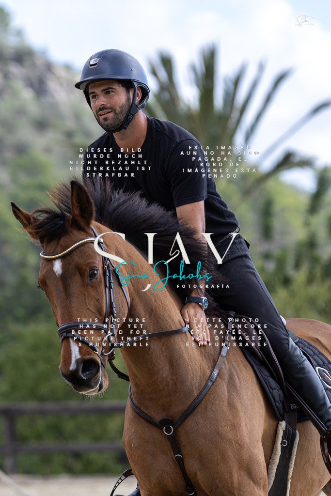 IMG_2855 | s-jay-photography - Realisiert mit Pictrs.com