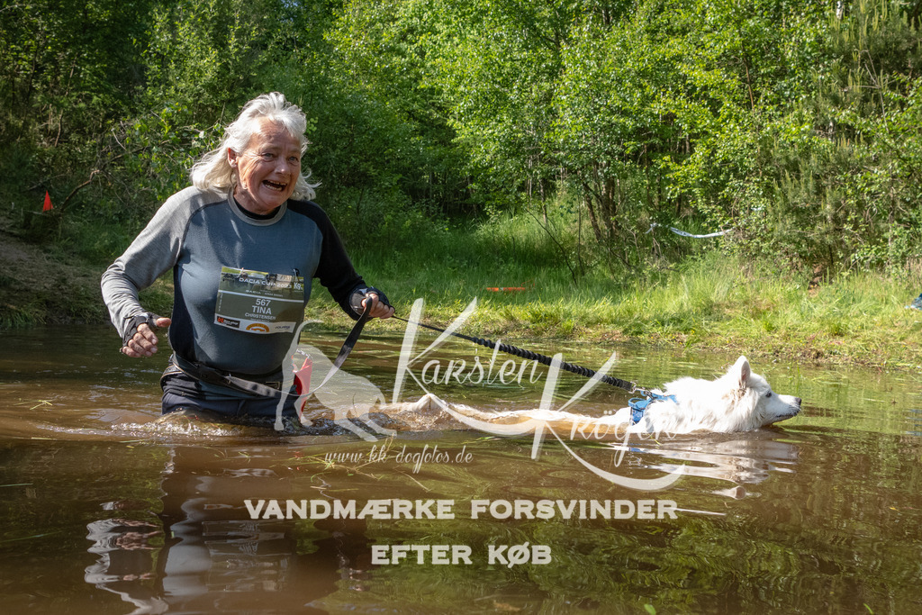 1637DKK991006 | kk-dogfotos