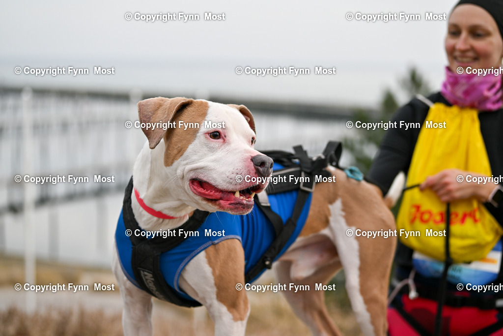 DSC_3760 | Hallo und herzlich Willkommen auf meiner Shop-Seite Fynn Most.

Ich wünsche Dir viel Spaß beim stöbern durch die Bilder, wenn Du Fragen hast oder Bilder vermisst, kannst du mir gerne eine Nachricht schreiben. - Realisiert mit Pictrs.com