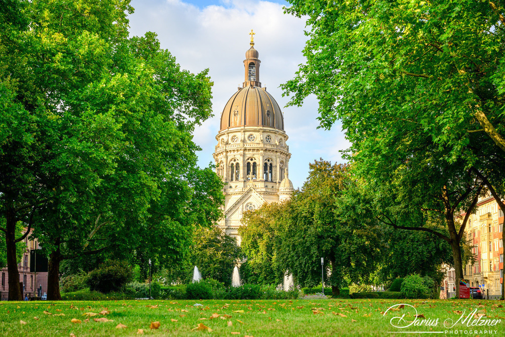 DSC_4623 | Fotografien, Fotos und Bilder aus Mainz, Frankfurt, Wiesbaden und anderen Orten auf der Welt - Fotografiert von Darius Metzner