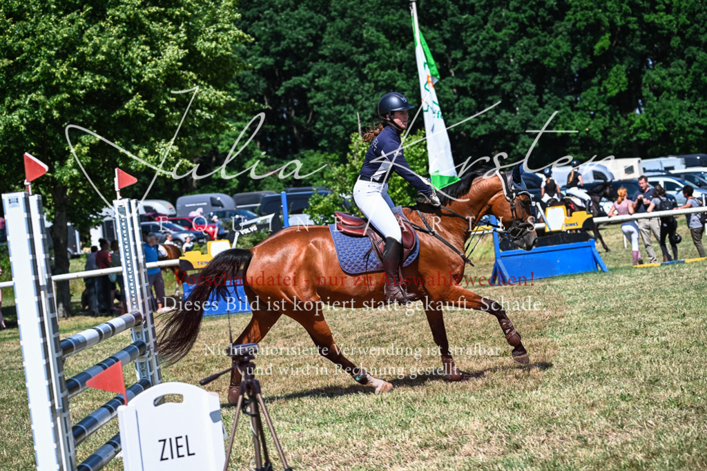 DSC_1353 | Pferde- und Turnierfotografie in Westsachsen. Pferdeportraits, Auftragszeichnungen und intuitive Kunst.