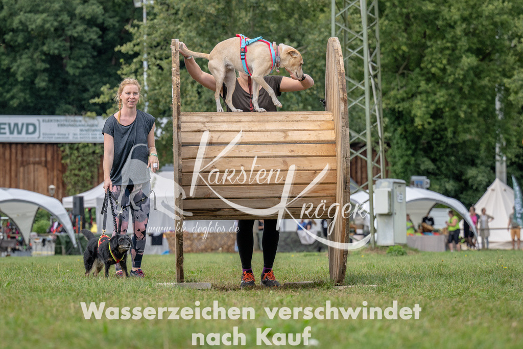1148_ZZ91665 | kk-dogfotos