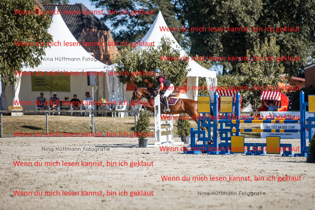 BK1A7221 | Turnierbilder Turnierfotos Nina Hüffmann Turnierfotografie Pferdefotografie Tierzeichnung Haustierzeichnung Pferdezeichnung Hundezeichnung Videograf  - Realisiert mit Pictrs.com