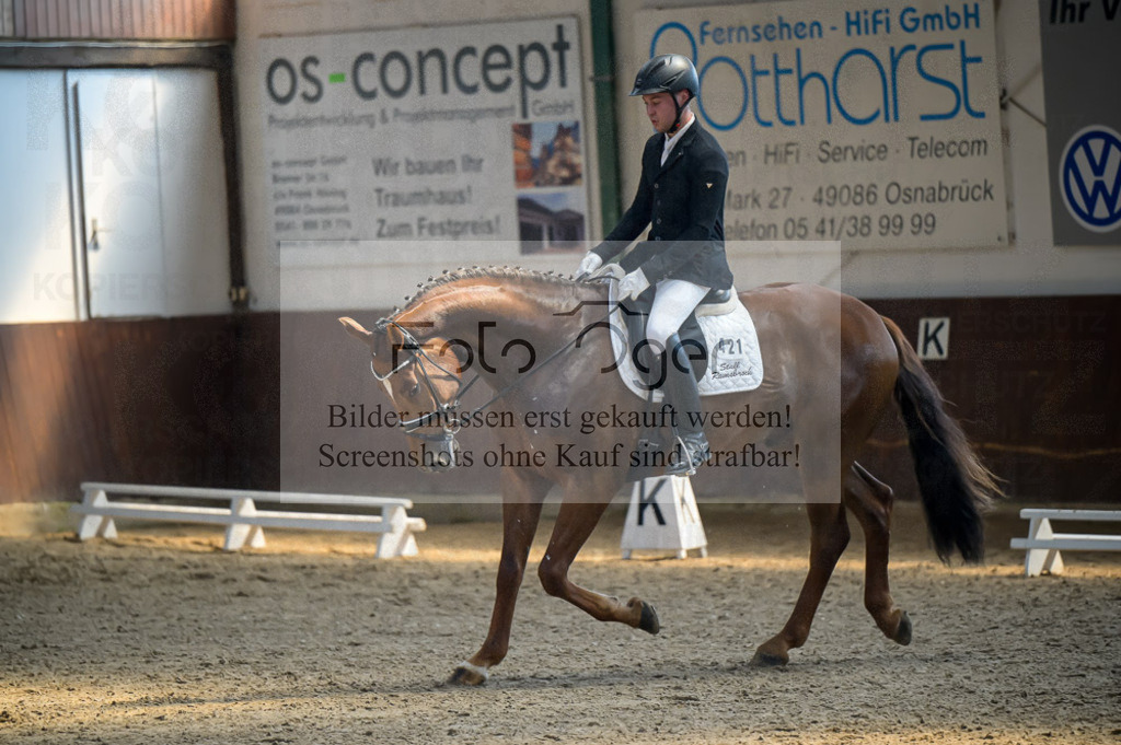 Reitturnier Voxtrup | Entdecke hochwertige Reitturnierfotos von Foto Oger. Professionell, emotional und authentisch – jetzt Lieblingsmomente im Shop bestellen.Deutschlandweite Turnierfotografie. - Realisiert mit Pictrs.com