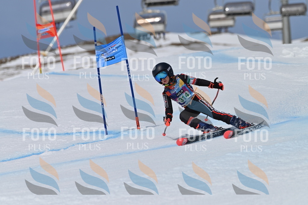 BGV_6223 | holidayphoto