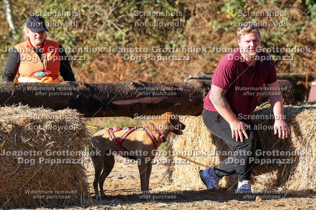 Dog Paparazzi - Strongdog 10-25-1504 | Dog Paparazzi Jeanette Grottendiek Fotografie & Videografie - Realisiert mit Pictrs.com