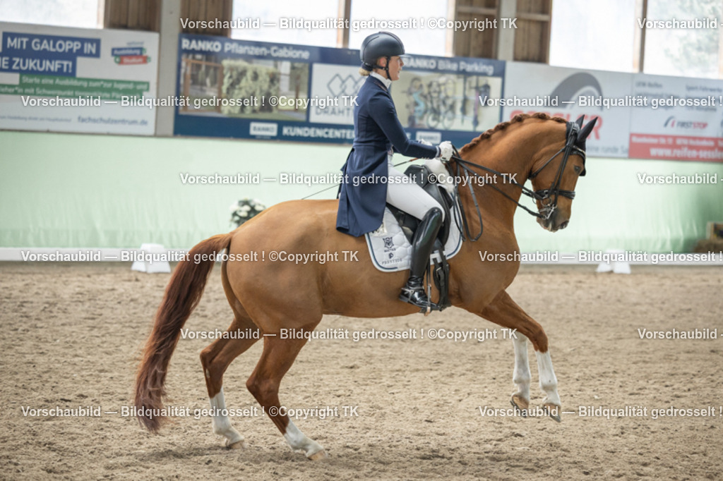 _D5A5301 | Emotionale Pferde- & People-Fotografie rund um Heidelberg, Leimen & Umgebung. Natürliche Fotos von Pferd, Mensch & Familie. Jetzt Termin sichern!