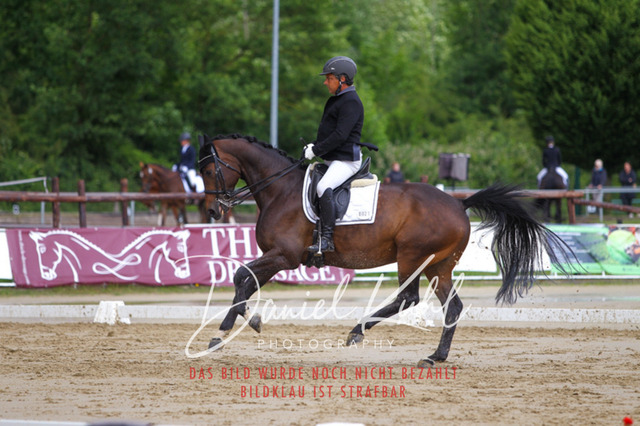 DKP40787 | Turniersportfotografie; Pferdefotografie; Dressurfotografie