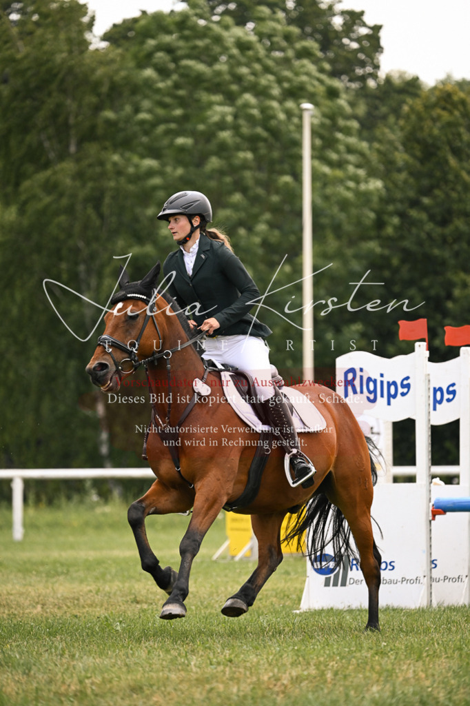 DSC_9146 | Pferde- und Turnierfotografie in Westsachsen. Pferdeportraits, Auftragszeichnungen und intuitive Kunst.