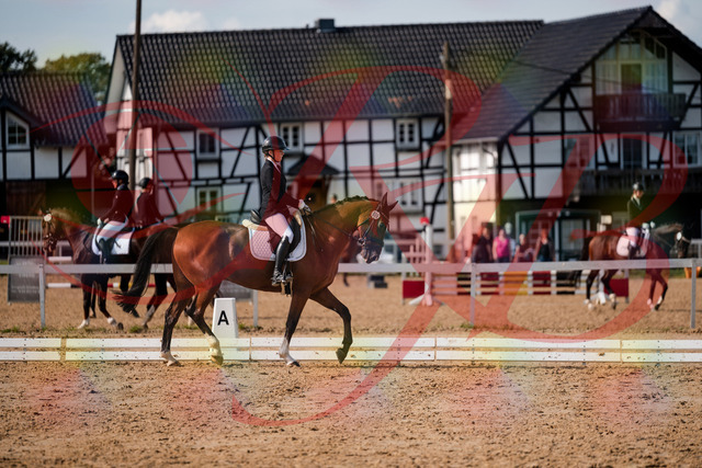 2026_10_03_Siefer-Hof_131527_Z63_76929948 | Professionelle Reitsport-, Turnier- und Eventfotografie von Robert Broda. Galerien mit ausgewählten und bearbeiteten Bildern direkt online ansehen und bestellen.