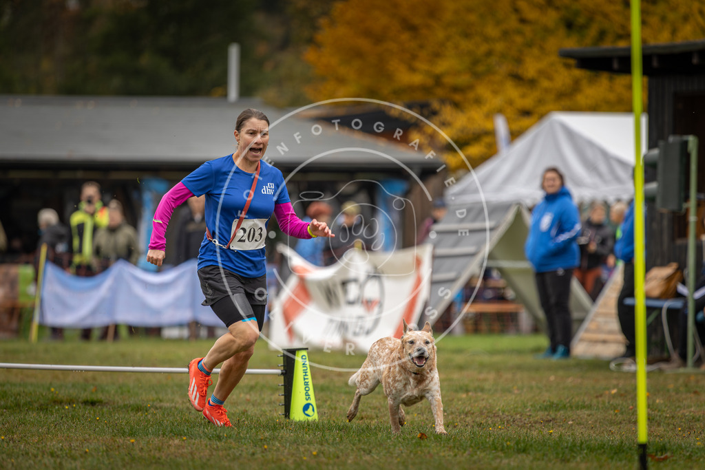 Pfotenfotografie_DV3A1658 | Hundefotografie, Tierfotograf, Pfotenfotografie, Fotoshooting Hund, Hunde Portrait, Hundesport, Hundeportraits, Heideshooting, Hunde, Sportfotograf, Hundefotograf, Turnierhundsport, THS,  - Realisiert mit Pictrs.com