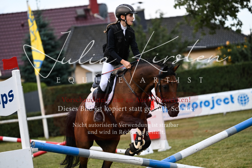 DSC_5437-2 | Pferde- und Turnierfotografie in Westsachsen. Pferdeportraits, Auftragszeichnungen und intuitive Kunst.