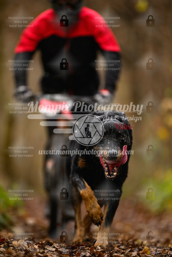 MompixPhotography_Eschau2024_DS1-24 | PayLife