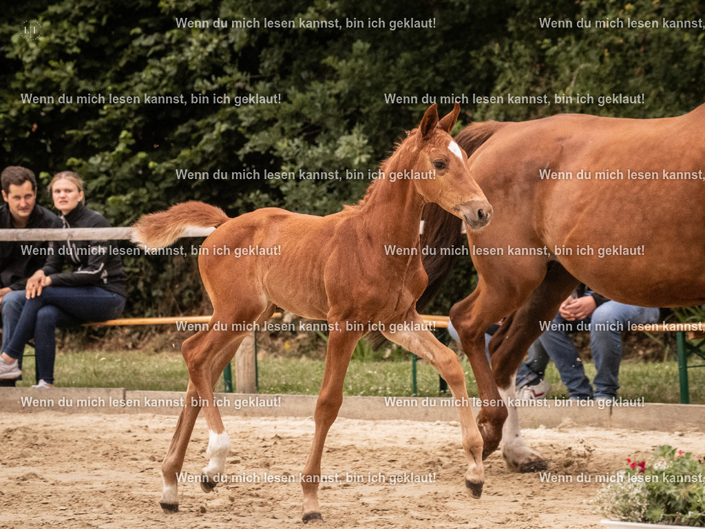 A10I4201 15.58.11 | photographylinaismer - Realisiert mit Pictrs.com