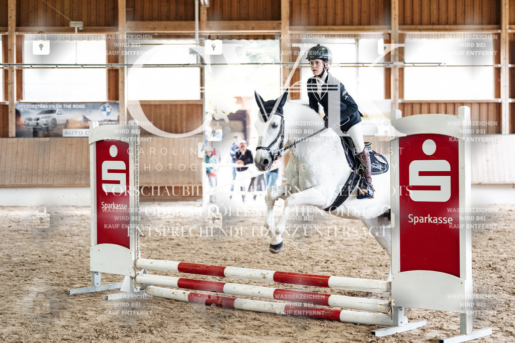 CK902692 | Turnierfotografie Pferdefotografie Trier Rheinland-Pfalz Pferdesport Reitsport Tierfotografie Sportfotografie Pferdevideo Pferdevideografie Equestrianvideography equestrianphotography  - Realisiert mit Pictrs.com
